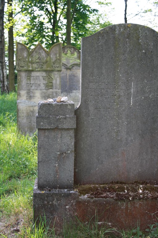 Grabsteine auf dem jüdischen Friedhof an der Ulrichstraße in Alpen (2014)