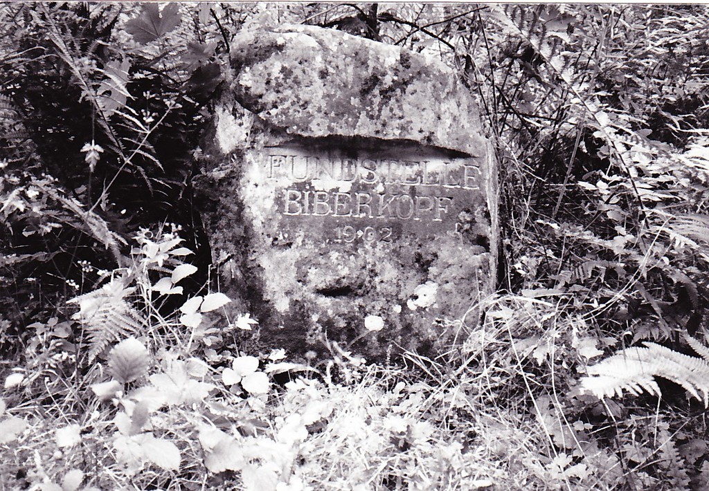 Ritterstein Nr. 17 "Fundstelle Biberkopf 1902"  bei Niederschlettenbach (1993)