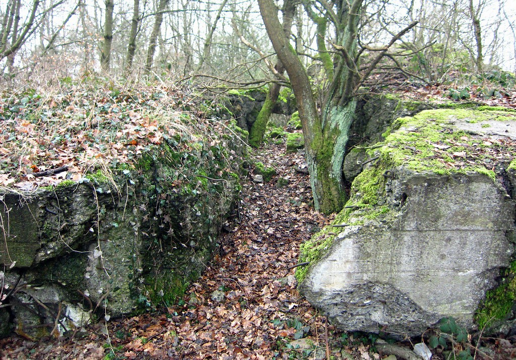 Ruine des ehemaligen "Führerhauptquartiers Felsennest" bei Rodert (2012)