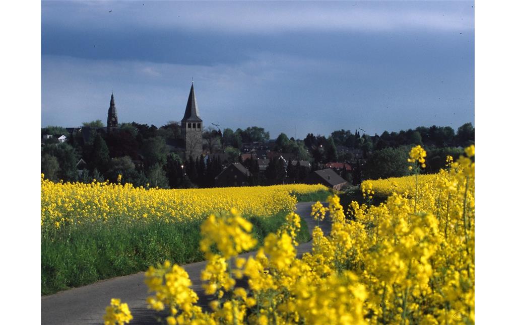 Blick auf den Ortskern von Ratingen-Homberg mit blühenden Rapsfeldern im Vordergrund (2006)