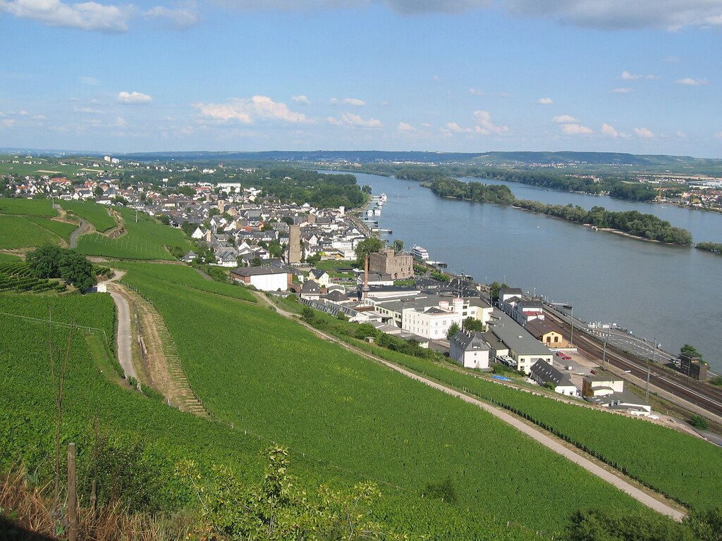 Rüdesheim von Westen aus gesehen (2005)