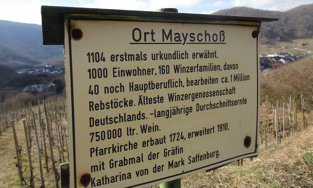 Informationstafel zur Geschichte des Ortes Mayschoß am Rotweinwanderweg im Ahrtal (2021).