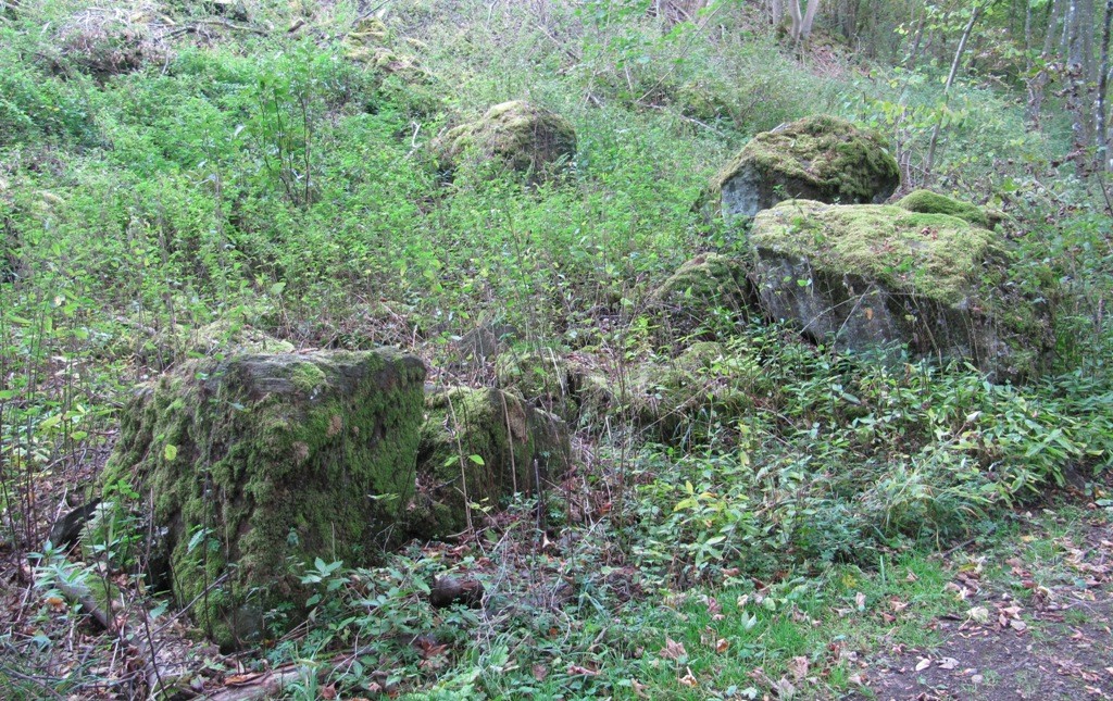 Überreste des Walls an der "Dietzenley" bei Gerolstein, auf der sich eine ehemalige keltische Fliehburg befindet (2013)