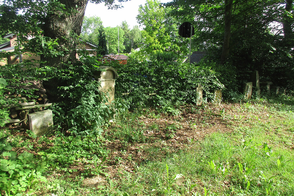 Allmählich zuwucherndes Gräberfeld auf dem jüdischen Friedhof in Hürtgenwald-Gey (2017).