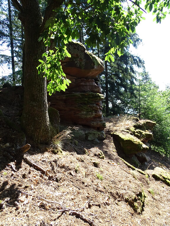 Ritterstein Nr. 297 "Loogfelsen Waechterstein mit Handgemal 12. Jhrdt. 300 m" nördlich von Waldhambach (2020)