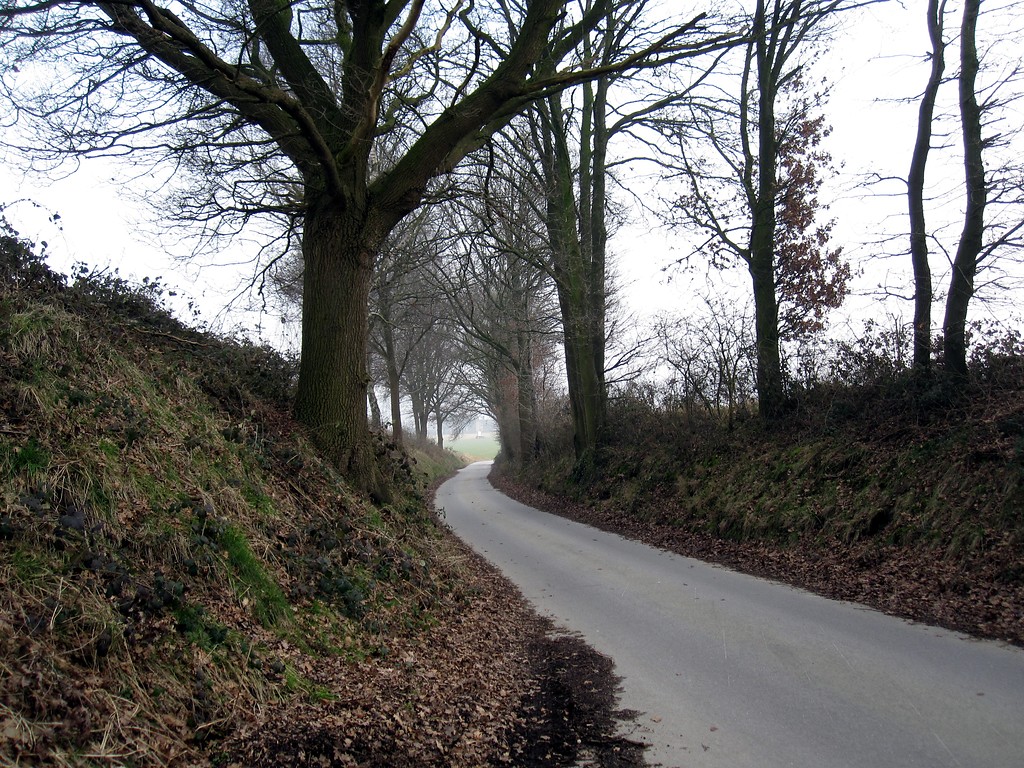Straße "In der Loh" in Uedem in dem Abschnitt, in dem sie als Hohlweg ausgebildet ist (2011)