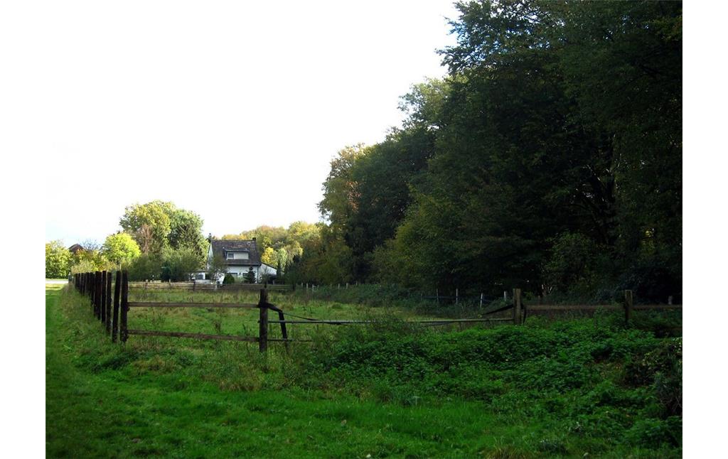 Der Huckelshof in Forstwald (2011)