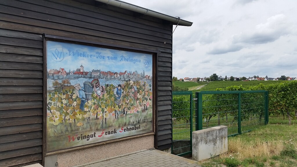 Blick auf Wicker, dem Tor zum Rheingau (2020)