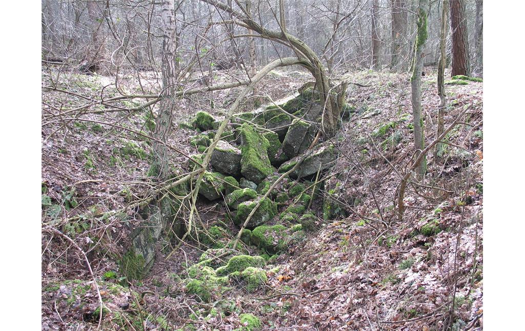 Reste eines gesprengten Bunkers der Verteidigungsanlage am Eltener Berg bei Emmerich (2010)