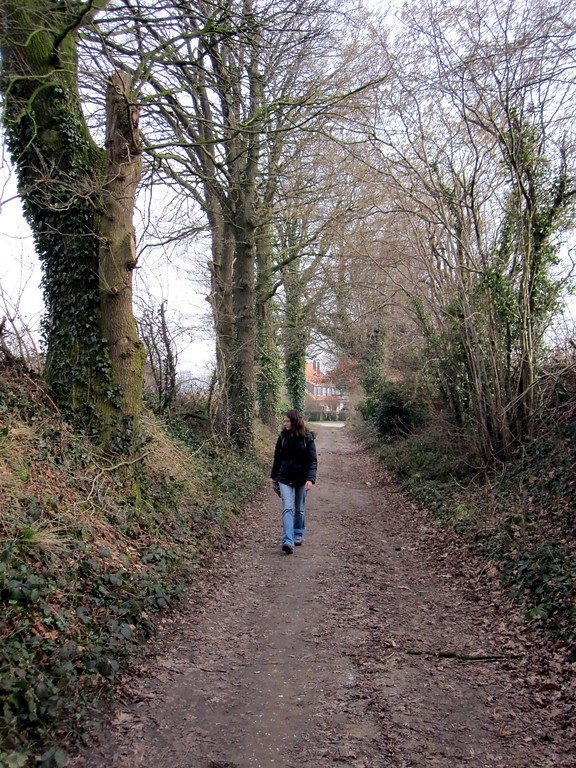 Hohlweg mit begleitender Baum- und Strauchreihe in Uedem (2011)