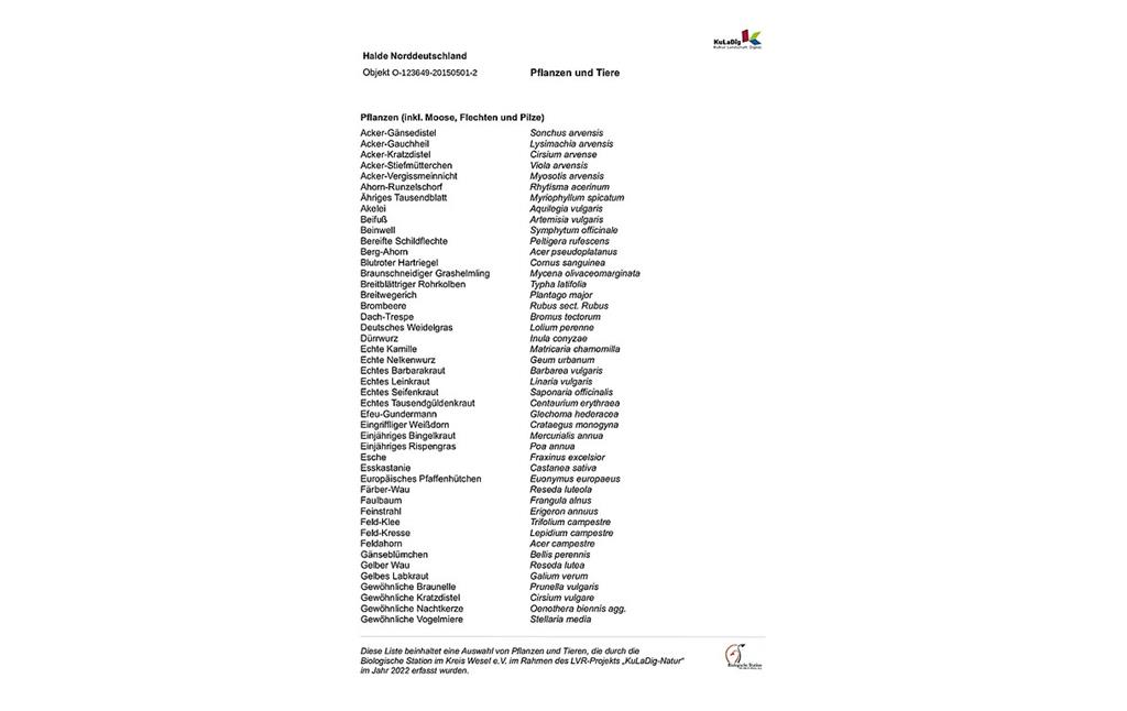 Liste von Pflanzen und Tieren auf der Halde Norddeutschland (2022)