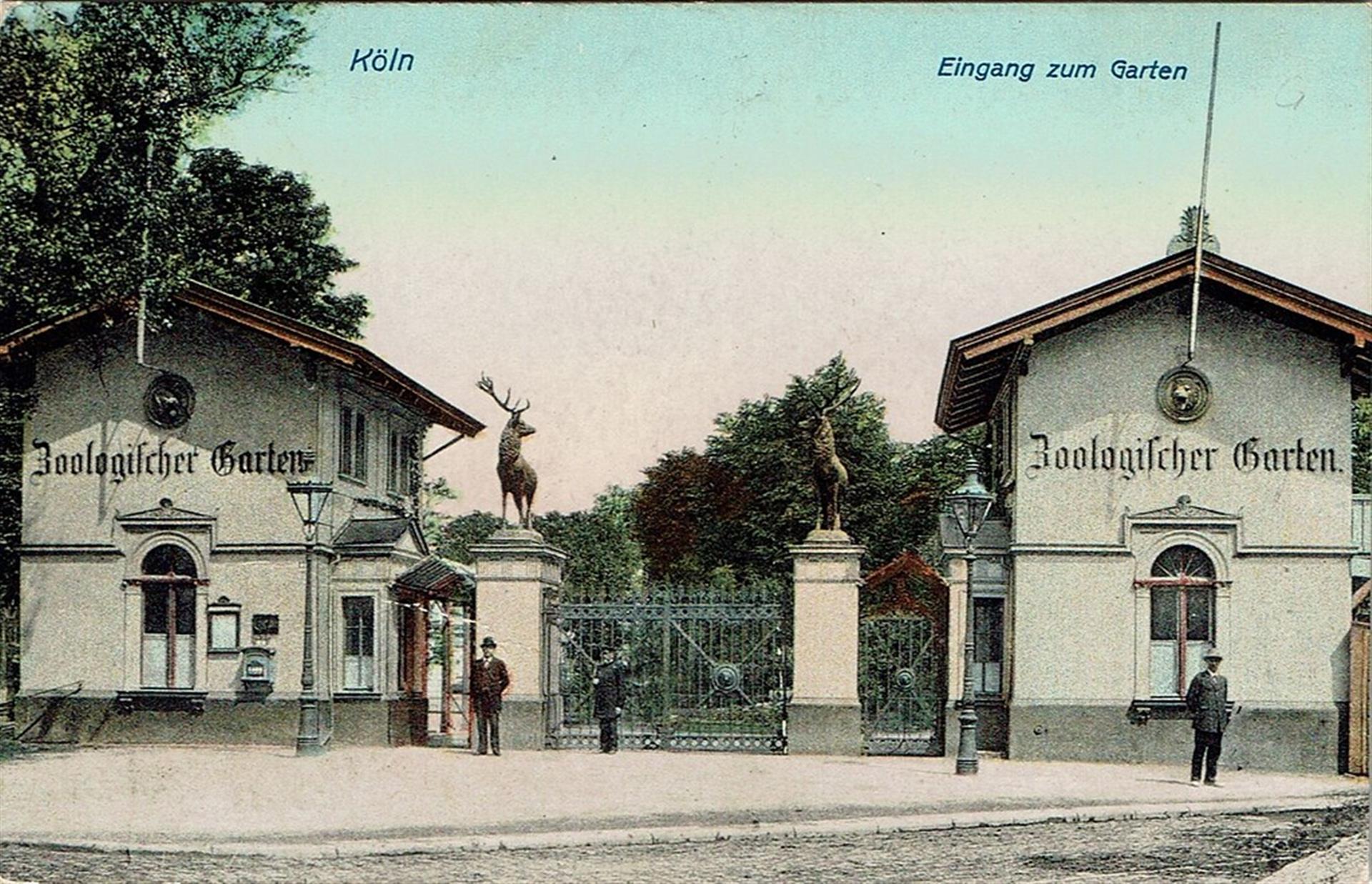 Historische Postkarte (um 1912): "Köln, Eingang zum Garten" mit einem Blick auf den Eingang zum Zoologischen Garten mit zwei seinerzeit dort stehenden Hirschfiguren. &copy; Joachim Brokmeier (Sammlung Brokmeier)