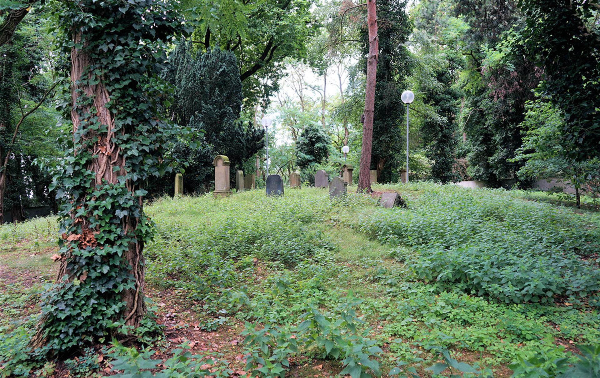 Gräberfeld im Innenbereich des Jüdischen Friedhofs in Dormagen-Zons (2017). &copy; Kuhlmann, Volker