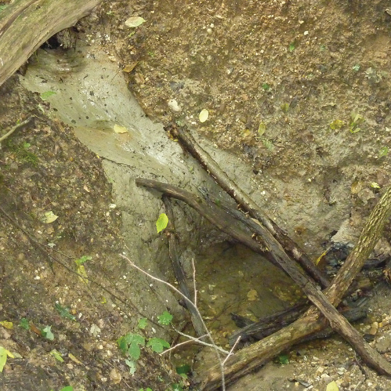 Abbildung 5: wasserstauender Tonhorizont in kleinem Kerbtal (2009)