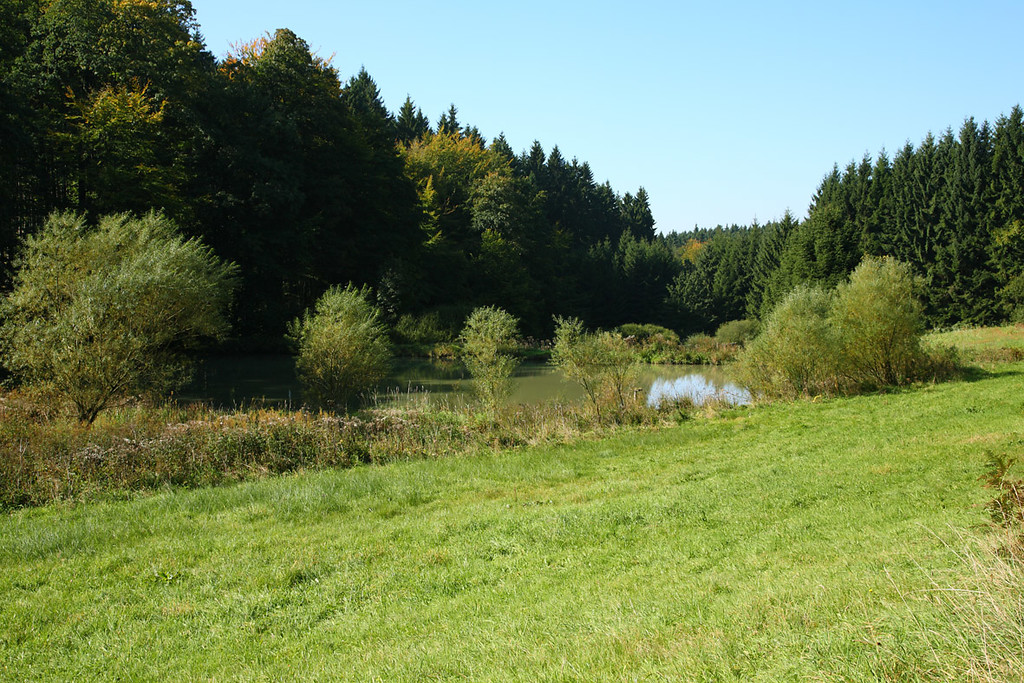 Teich bei Gervershagen (2008)