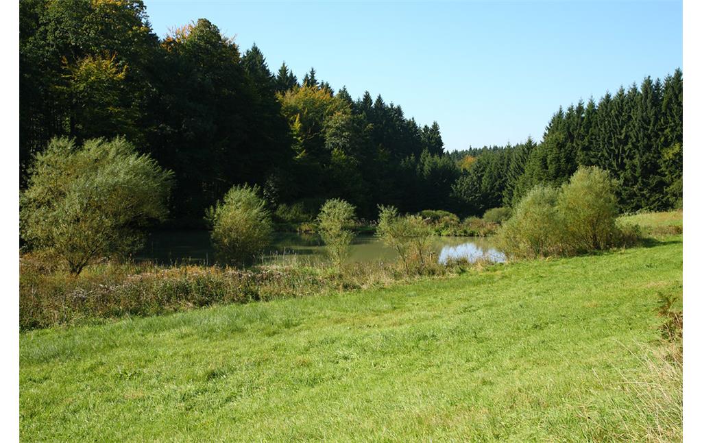 Teich bei Gervershagen (2008)