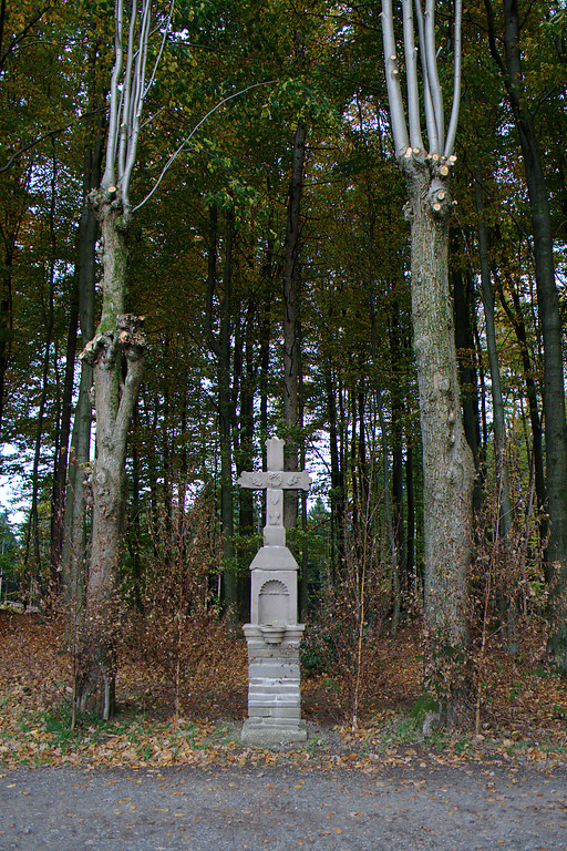 Kümmeler Kreuz zwischen zwei geschneitelten Linden (2013)