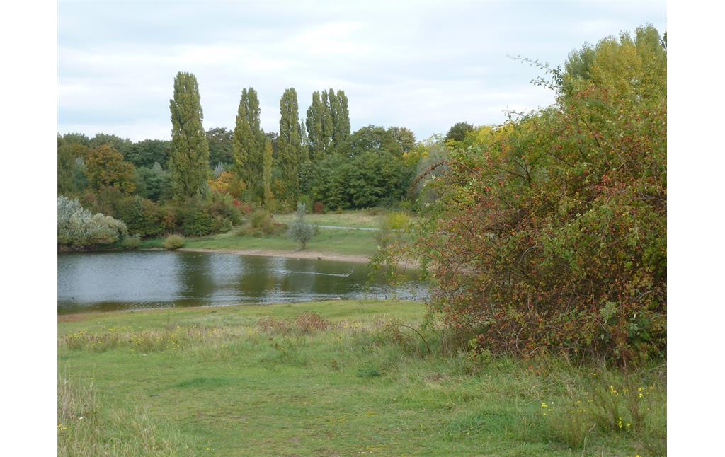 Teich im Norden der Westhovener Aue (2014)