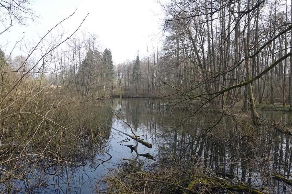 Teich am Eicher Stollen (2015)
