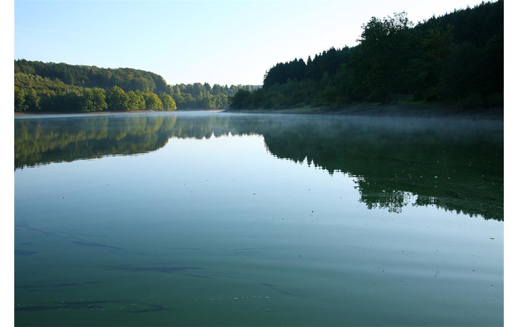 Der Stausee der Lingesetalsperre umgeben von Wald (2008).