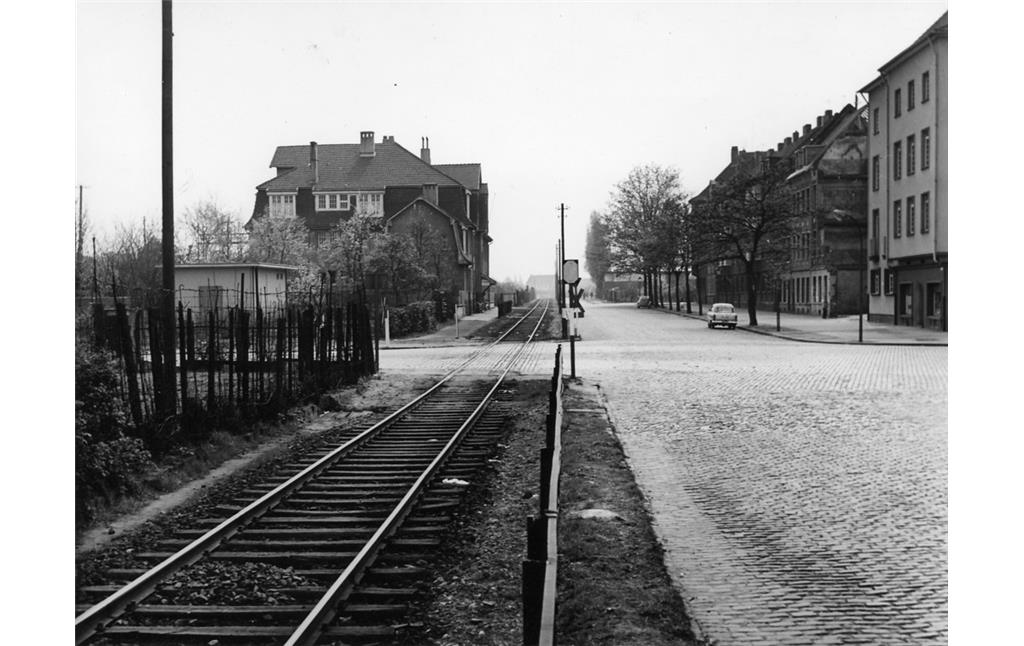 Historisches schwarz-weiß Foto der Schwarzen Bahn am Klettenberggürtel gen Süden (1956).