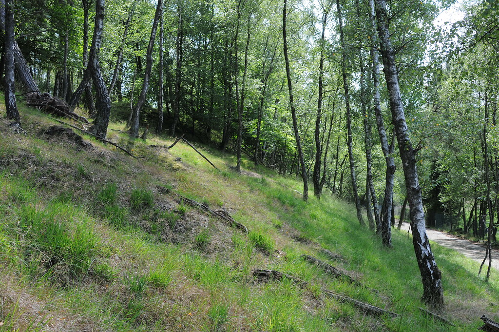 Naturschutzgebiet "Grube Weiß" (2019)