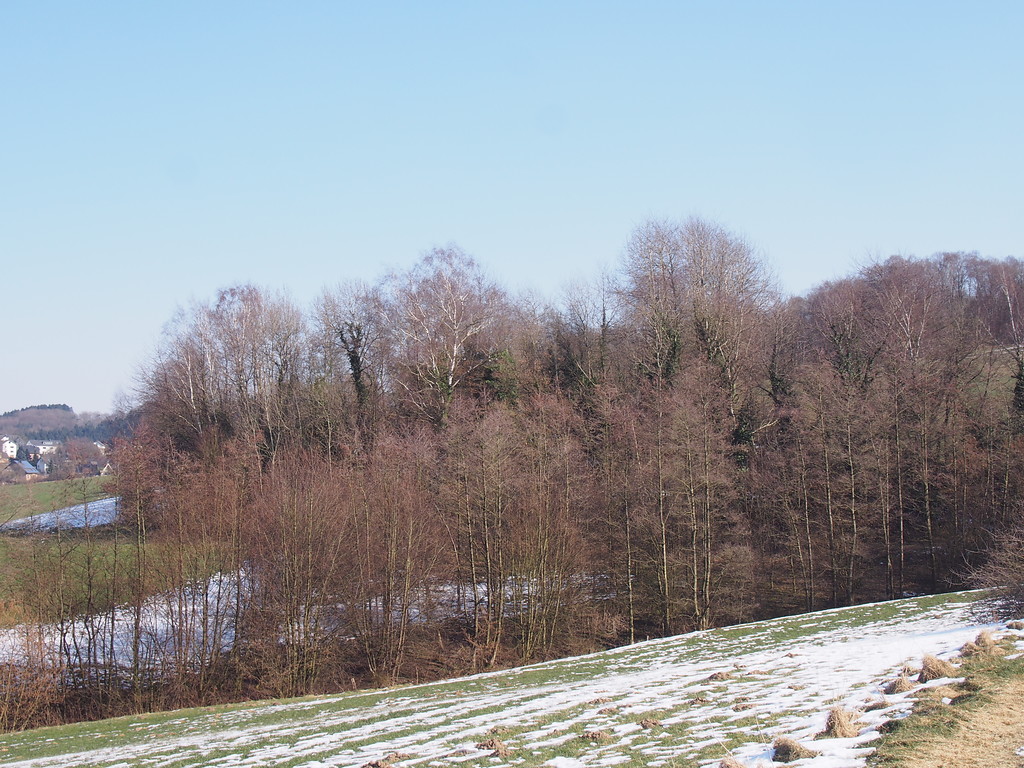 Lage des Steinbruchs in der Landschaft, erkennbar an den hohen Bäumen im Hintergrund. (2018)