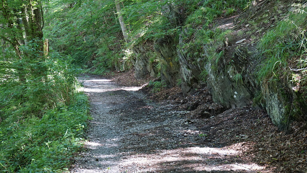 Kall Trail kurz hinter der Kallbrücke auf der Kommerscheider Talseite (2021)