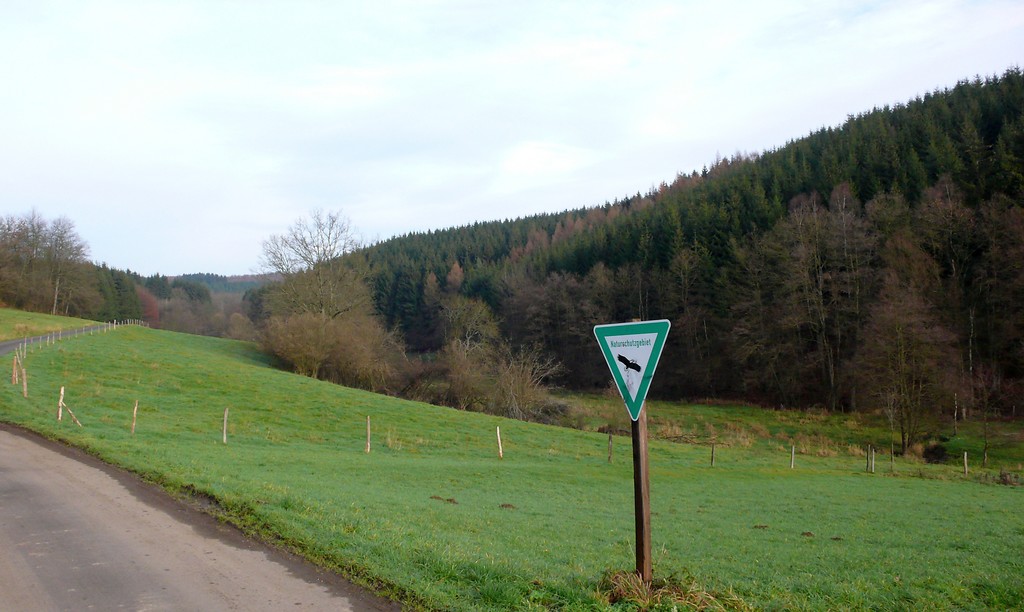 Blick auf das Naturschutzgebiet Dirlenbachtal (2006)