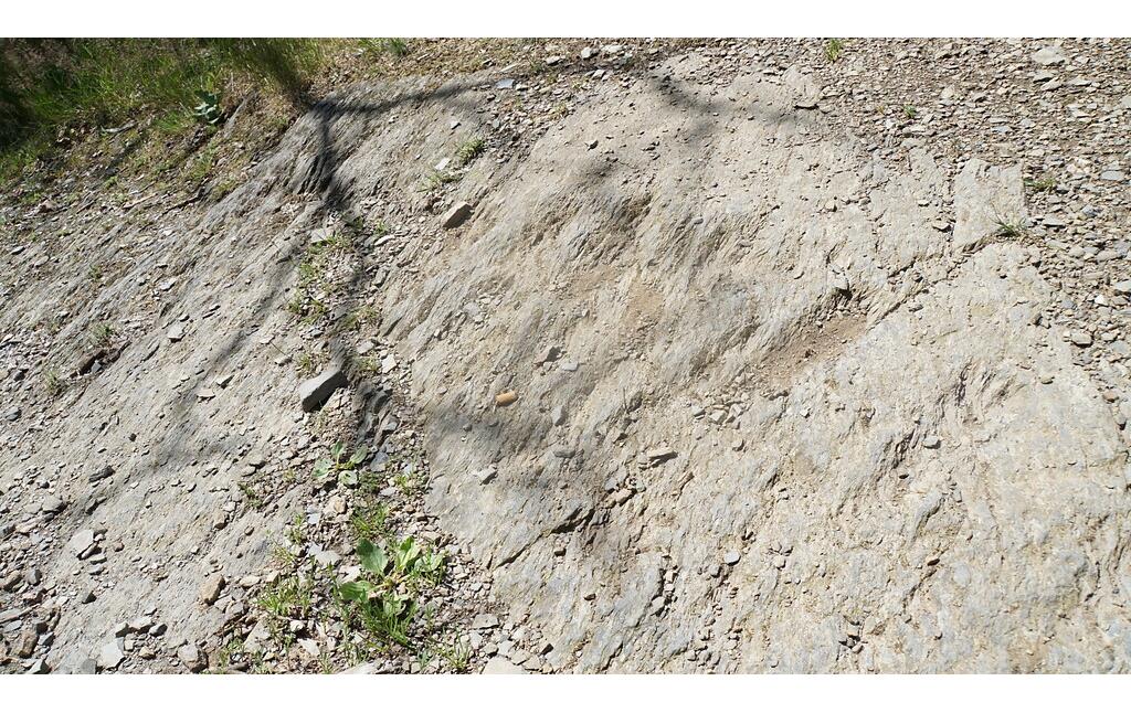 In der Kurve des Kall Trails an der Dicken Ley sind Spuren der Panzerketten im Schiefergestein erhalten (2021)