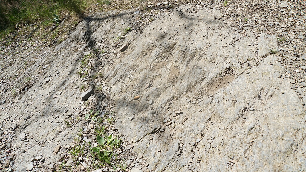 In der Kurve des Kall Trails an der Dicken Ley sind Spuren der Panzerketten im Schiefergestein erhalten (2021)