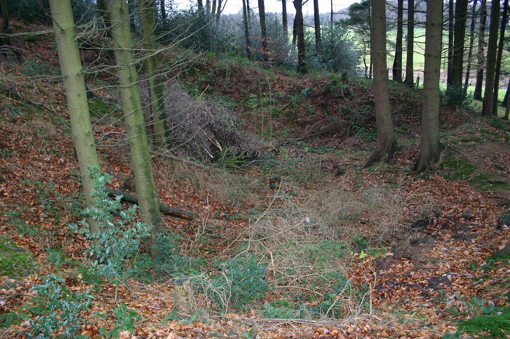 Südlich von Milspe befinden sich in einem bewaldeten Stück Steinbrüche, Steinkuhlen und Halden (2008).