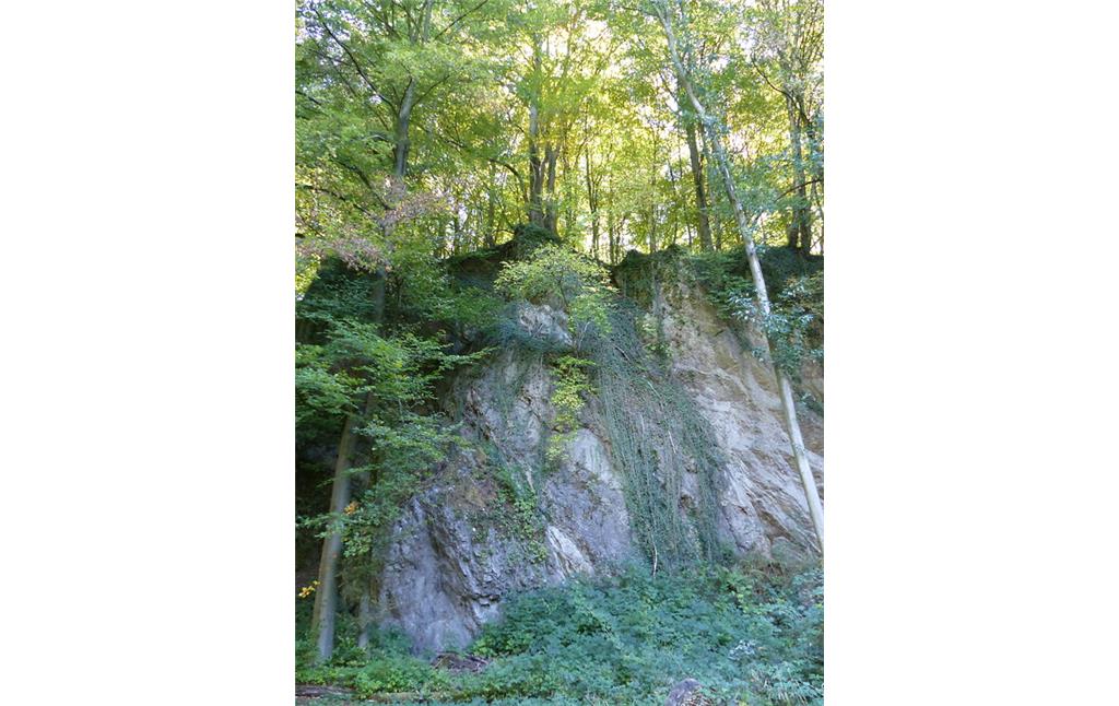 Blick auf die Abbruchwand des Steinbruchs Kohlenbusch im Naturschutzgebiet "Die Schlade" (2018)