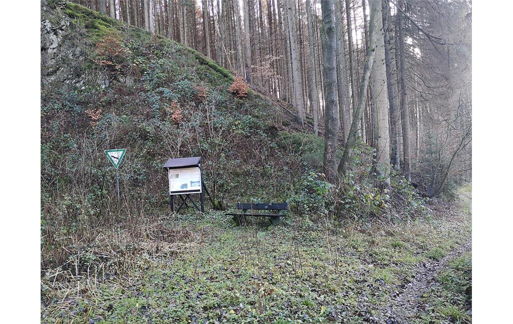Naturdenkmal "Ehemaliger Steinbruch bei Dürscheider Hütte" (2019)