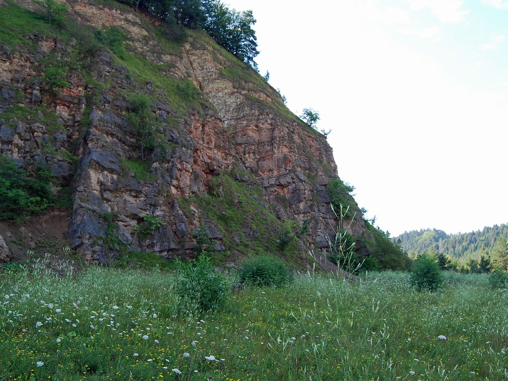 Kalksteinbruch in Sötenich (2012)