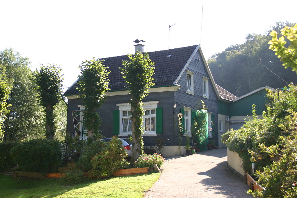 Wohnhaus mit Hausbäumen in Niederhagelsiepen (2007)