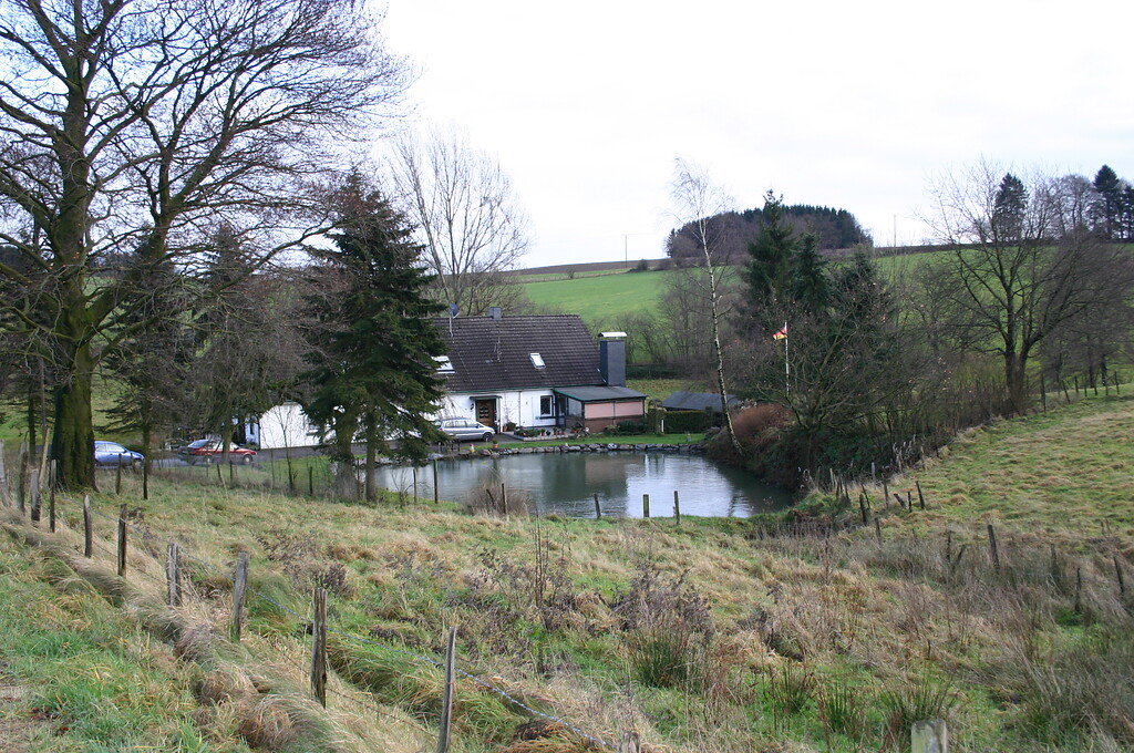 Blick auf den Mühlenteich und das Gebäude der Lambecker Mühle (2008)