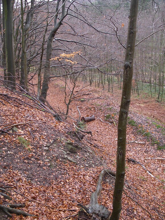 Wassergraben der Obersten Mühle (2008)