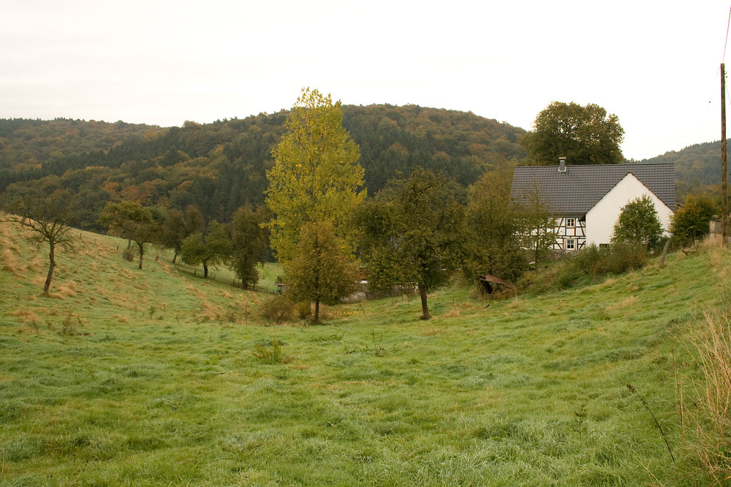 Fachwerkhof mit Obstbaumweide in Bühlstahl (2013)