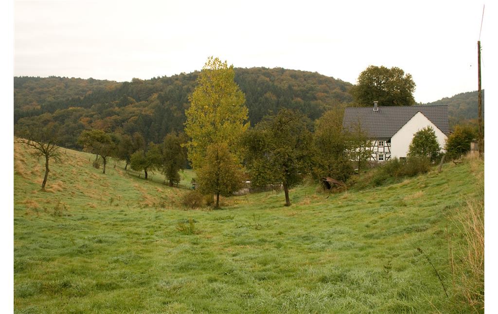 Fachwerkhof mit Obstbaumweide in Bühlstahl (2013)