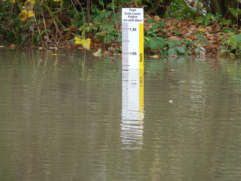 Abbildung 14: Lattenpegel 148 cm am Hochwasserentlastungsgraben Große Laache (2010)
