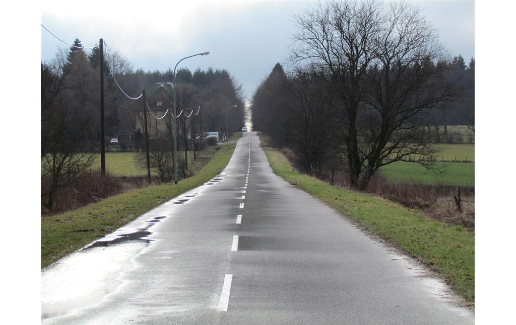 Heutige "Elsenborner Straße"  in Kalterherberg Richtung Truppenübungsplatz Elsenborn, der ca. 500 m vom Fotostandpunkt entfernt liegt. Dort endet die Straße abrupt. Im Hintergrund links ehemalige Wohnhäuser der Zöllner.