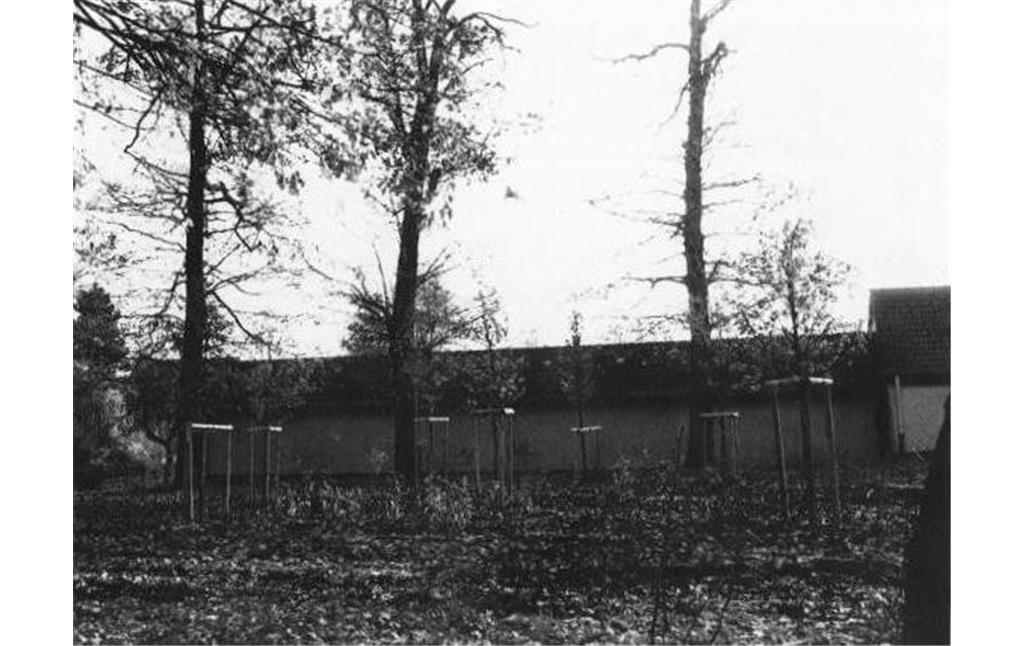 Bepflanzung des ehemaligen Festplatzes (1987)