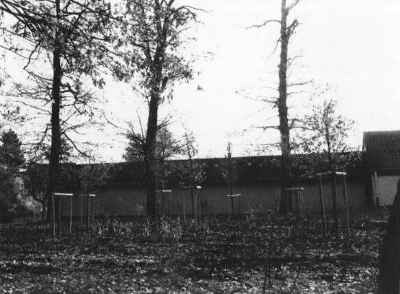 Bepflanzung des ehemaligen Festplatzes (1987)