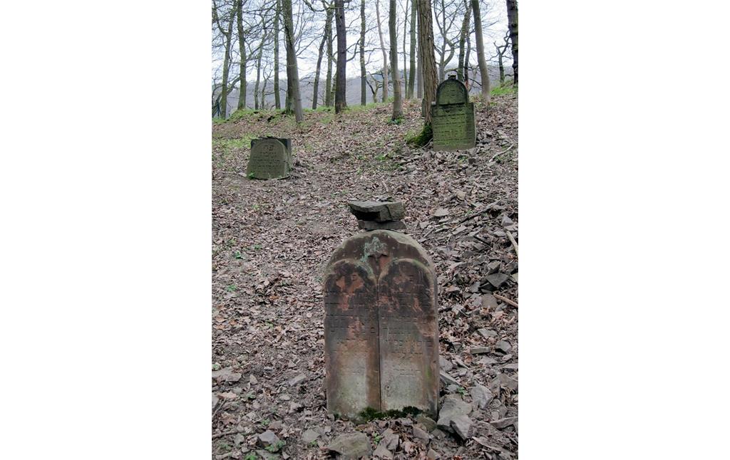 Grabsteine auf dem Alten Jüdischen Friedhof in Bad Breisig-Rheineck (2013)