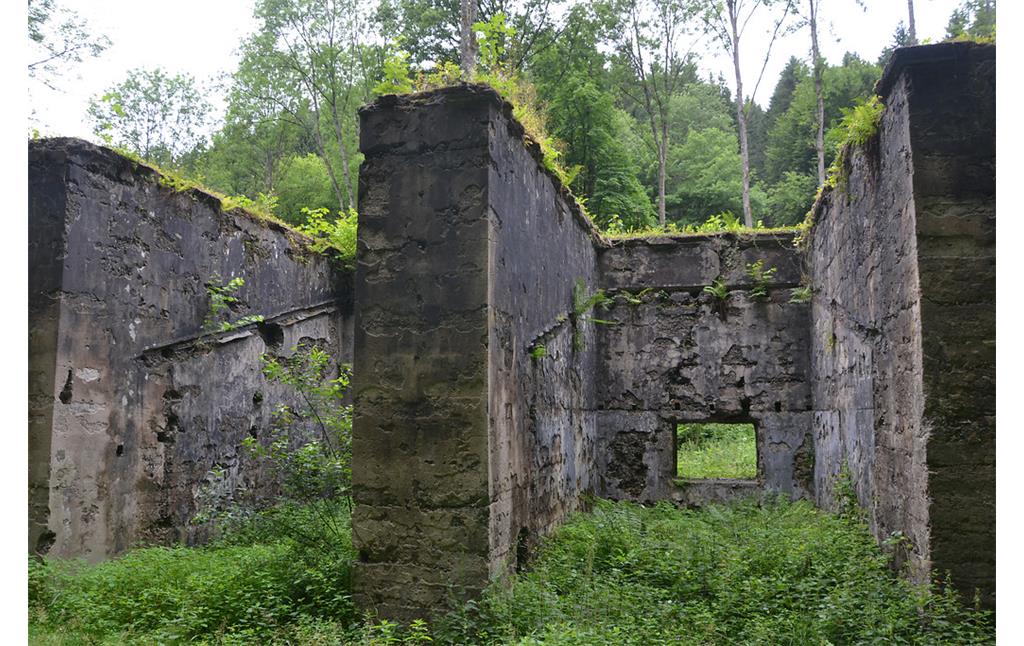 Ruine eines Gebäudes der Pulvermühle Elisenthal (2013)