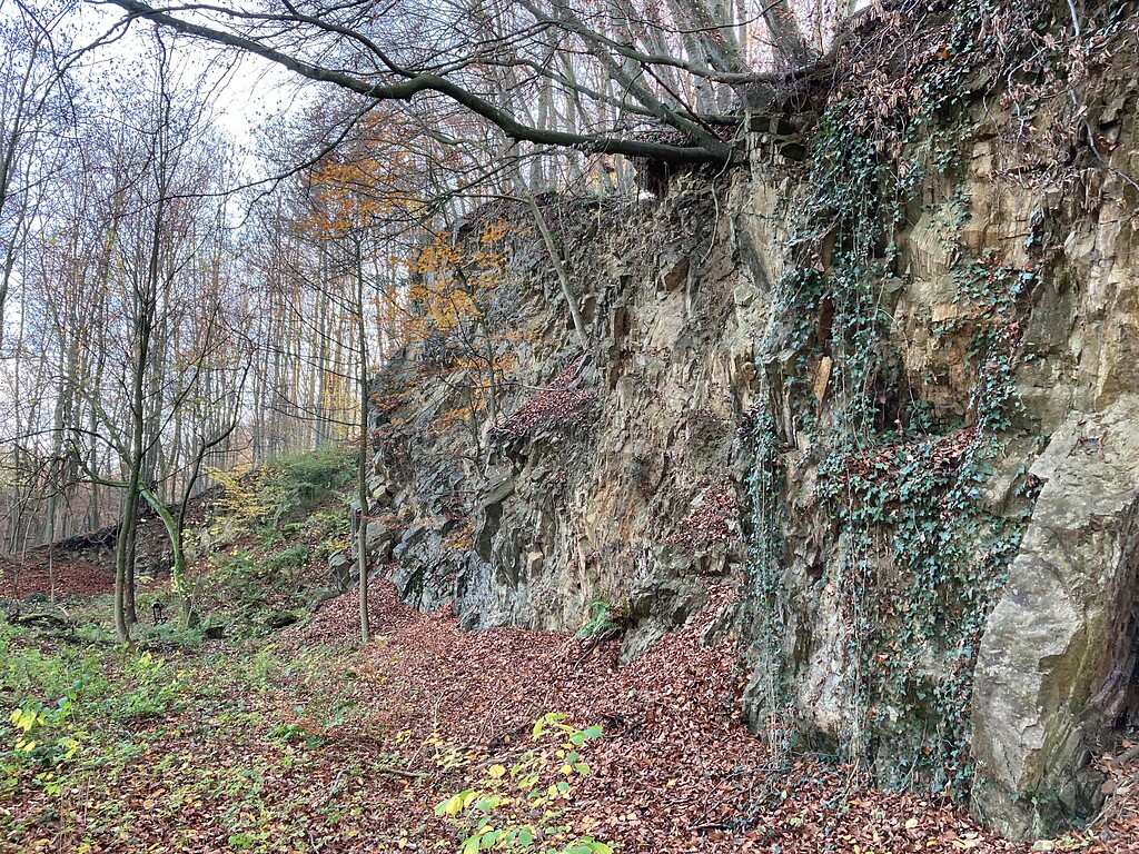 Naturdenkmal Steinbruch im Lohseifen (2020)