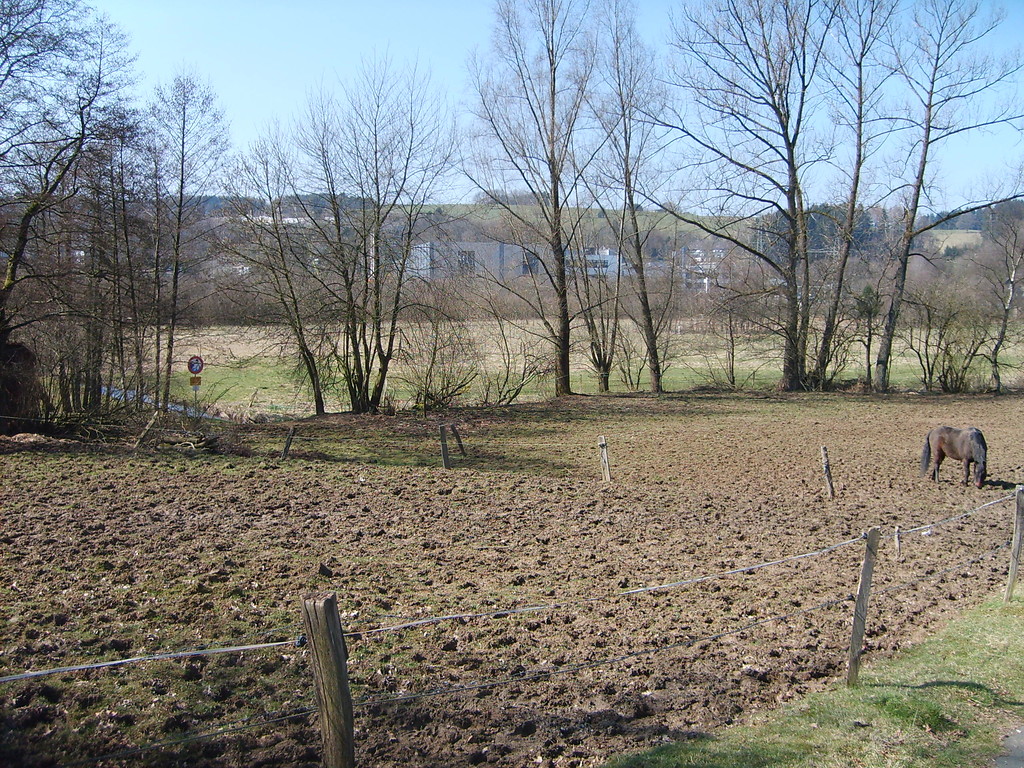 Standort des ehemaligen Teiches der Pulvermühlen in Wäsche (2009)
