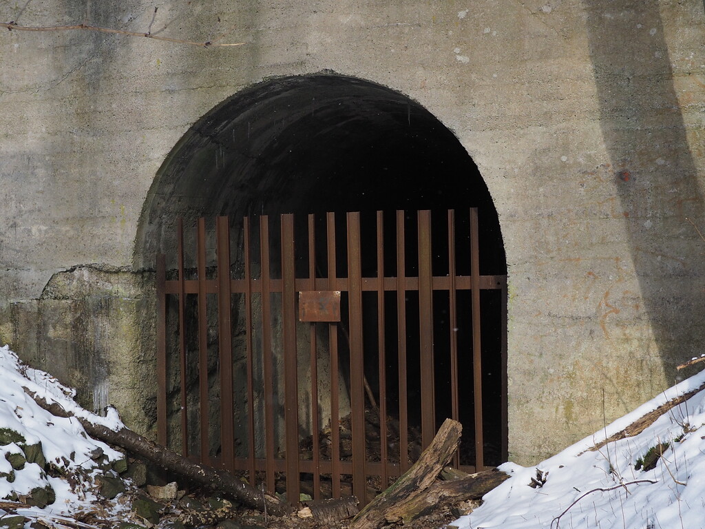 Portal der Tunneleinfahrt am Bochumer Bruch (2021)