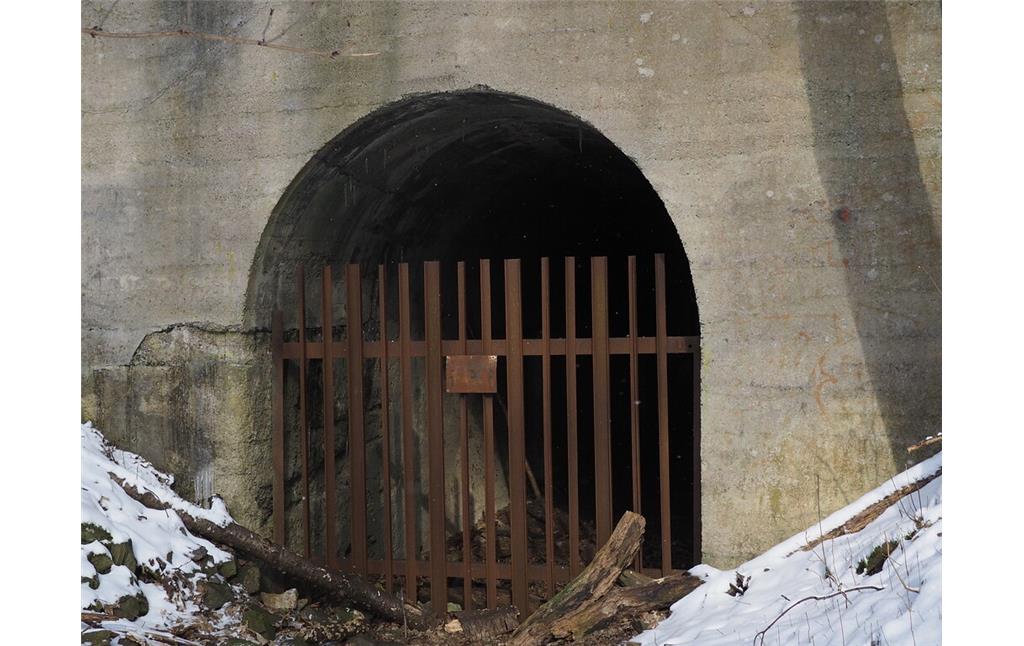 Portal der Tunneleinfahrt am Bochumer Bruch (2021)